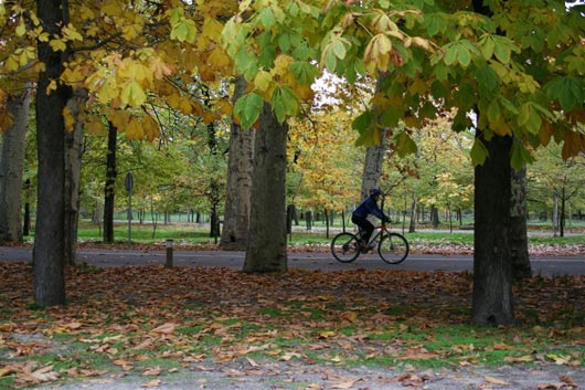 Ciclista en el Anillo Verde a su paso por la Casa de Campo