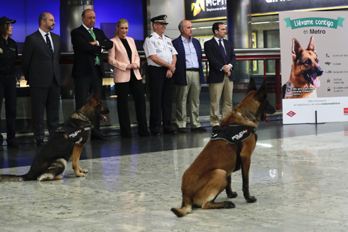 La presidenta de la Comunidad de Madrid, Cristina Cifuentes presencia una exhibición canina de perros de la Unidad de Guías Caninos de la Policía Nacional