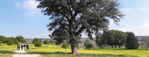 Ruta Verde de El Pardo